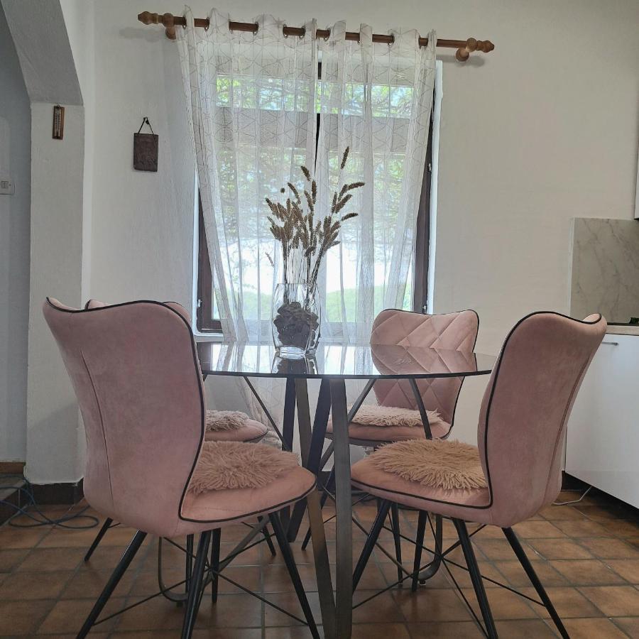 Guest House Tanja Babino Polje 外观 照片