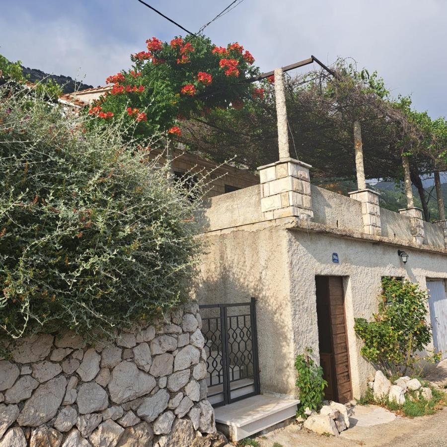 Guest House Tanja Babino Polje 外观 照片