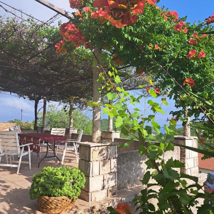 Guest House Tanja Babino Polje 外观 照片